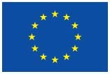 European flag