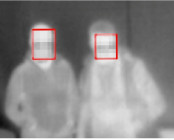 Thermal image of two persons with their faces detected